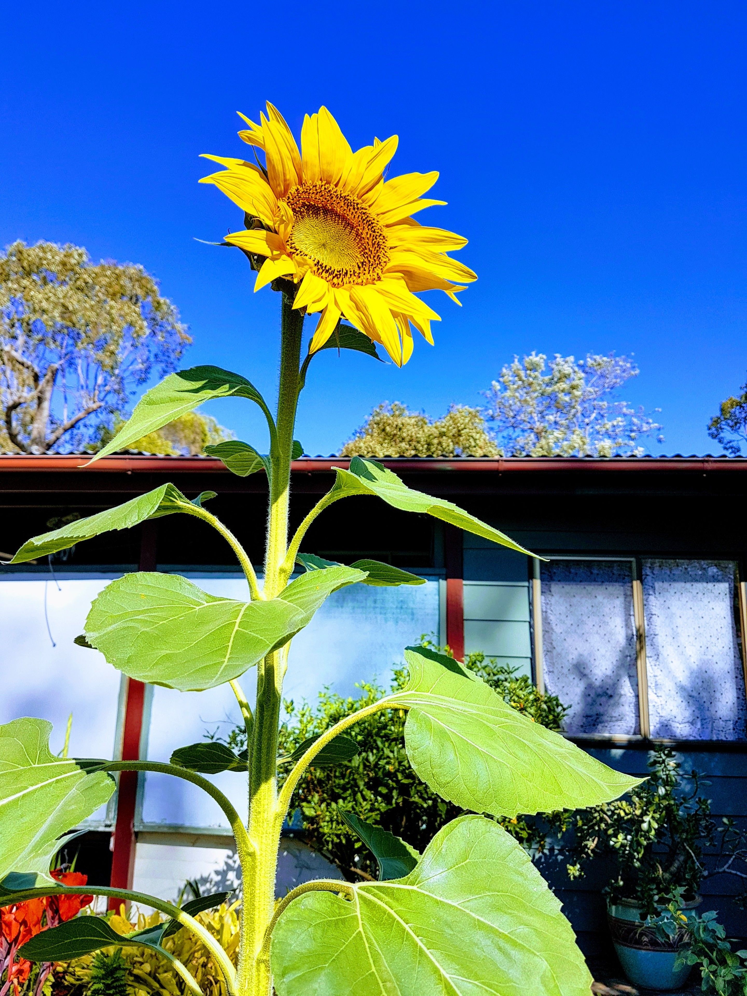 Rose City Caravan Park