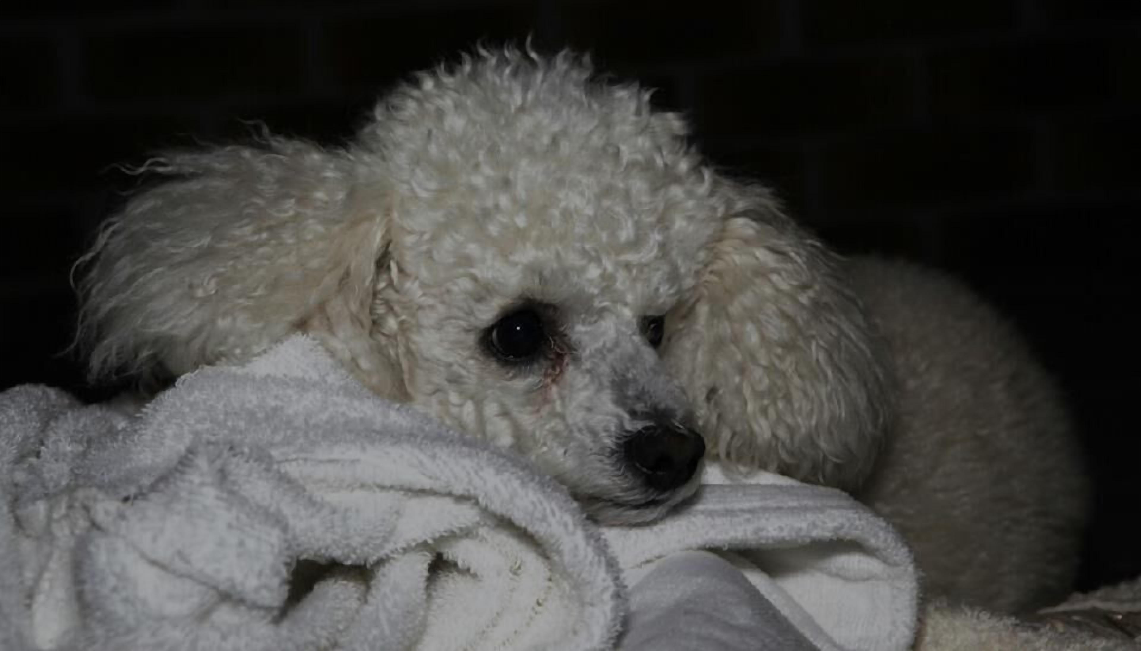 La Bella Villa ~ Affordable Private Luxury Escape