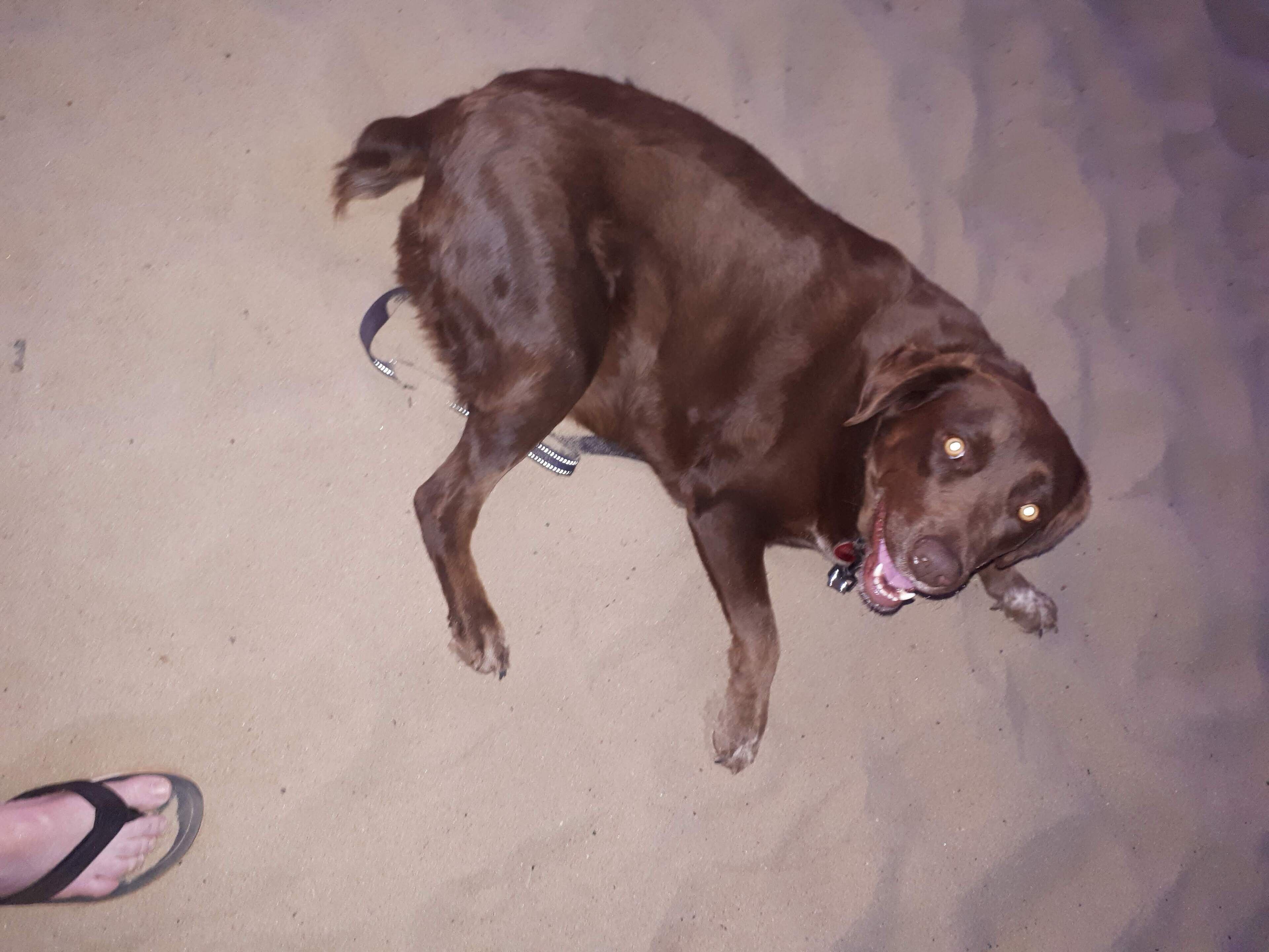 Female Only Stays. Modern Room has Bar Fridge, Kettle & TV, Desk.king Single BED