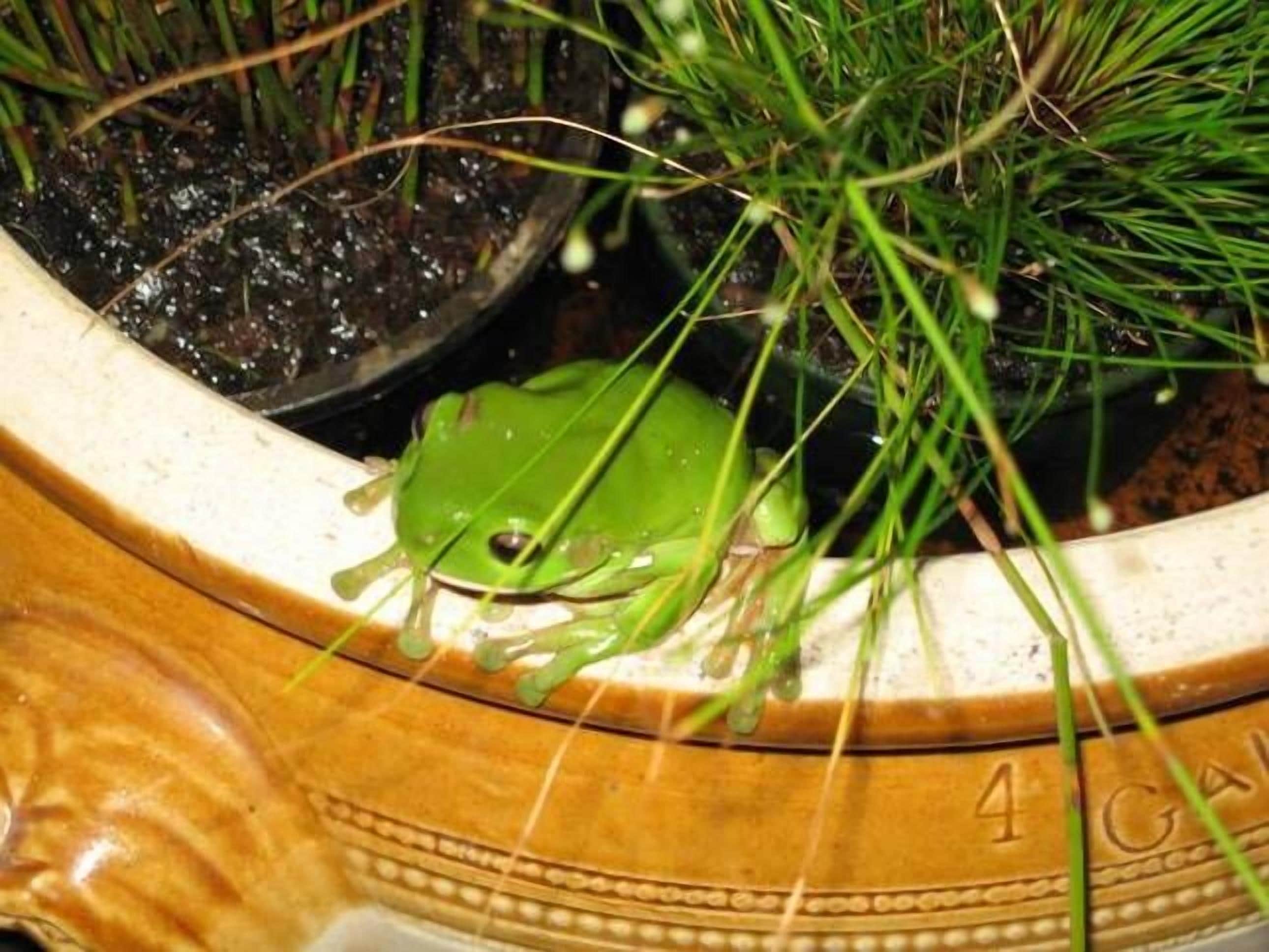 B & B on the Promised Land