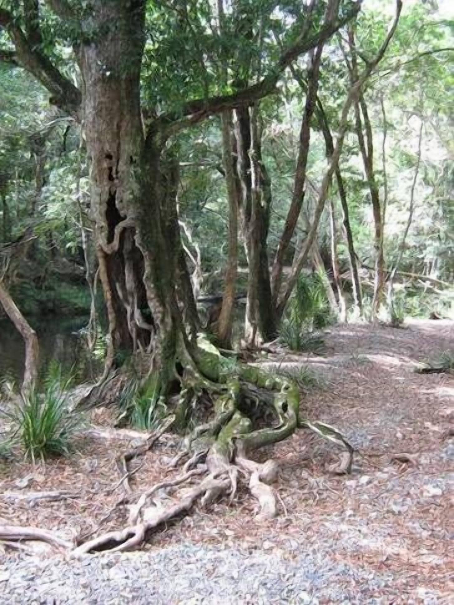 B & B on the Promised Land