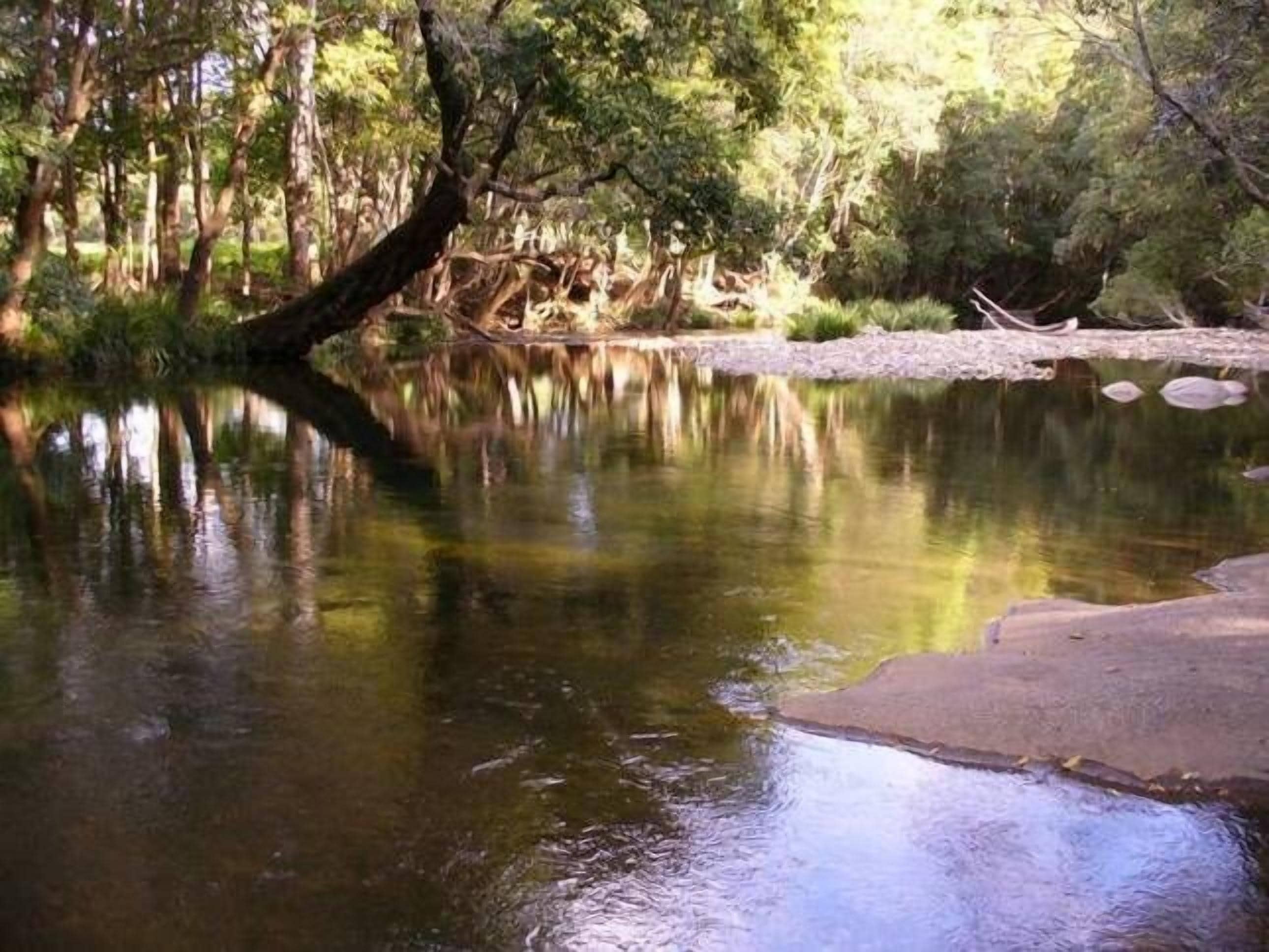 B & B on the Promised Land