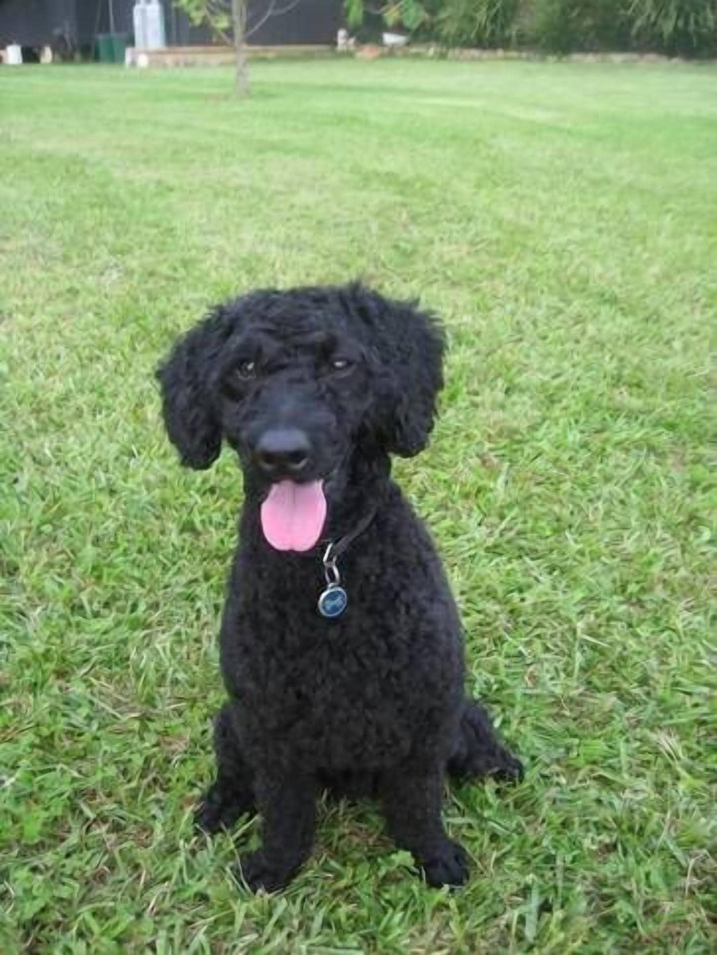 B & B on the Promised Land