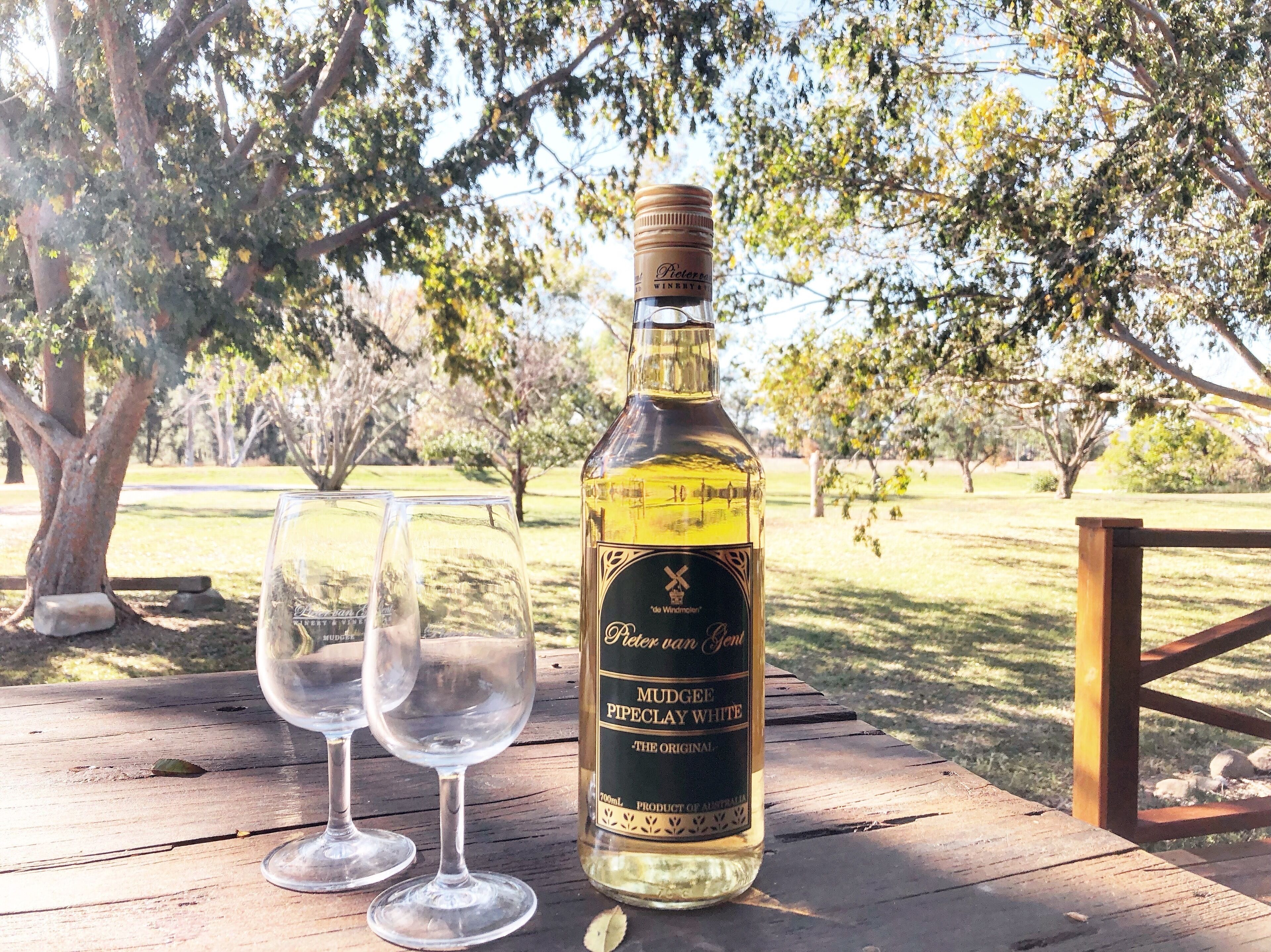 Pieter van Gent Winery - Pipeclay Lodge