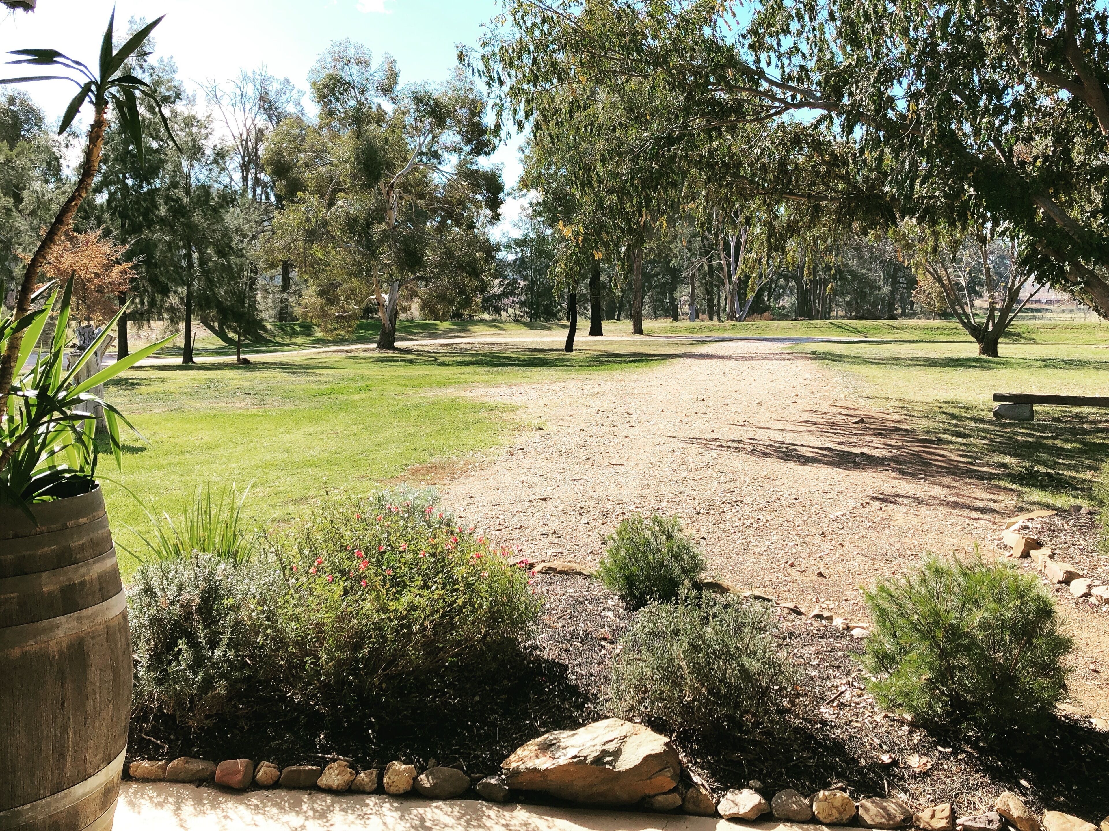 Pieter van Gent Winery - Pipeclay Lodge