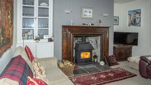 TV, fireplace, DVD player, toys