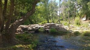 Piscina natural