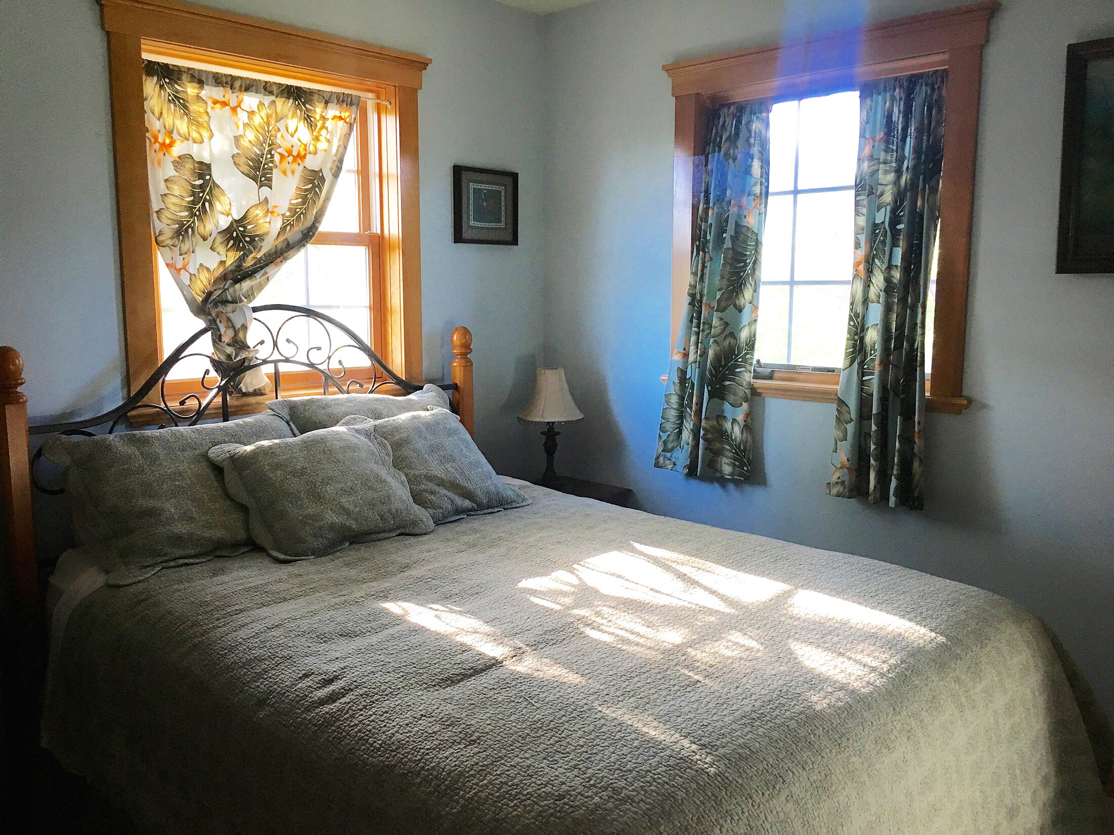 Ocean View Suite Homer Alaska Cafe/Bookshop/Beach in Homer, United States