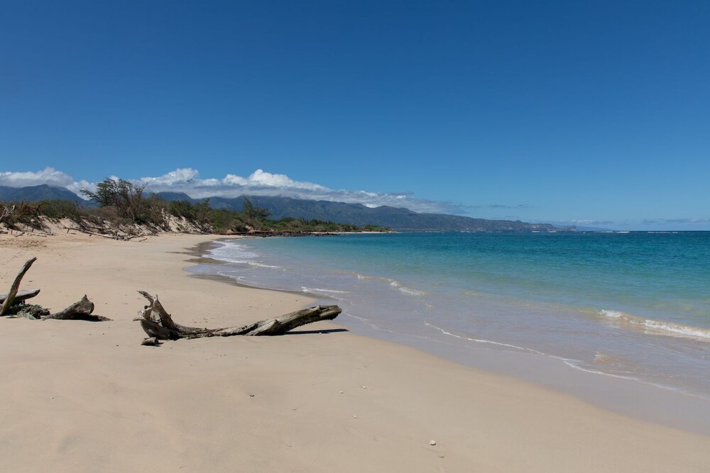 Maui Oceanfront on the Beach! Windsurfing, Stand-up Paddling, Snorkeling in Paia, United States