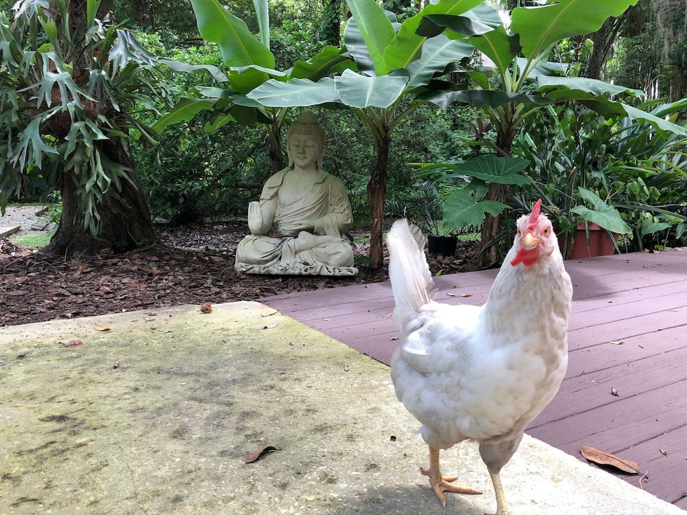 Cozy Lake House Suite at Little Cypress Guests Suites