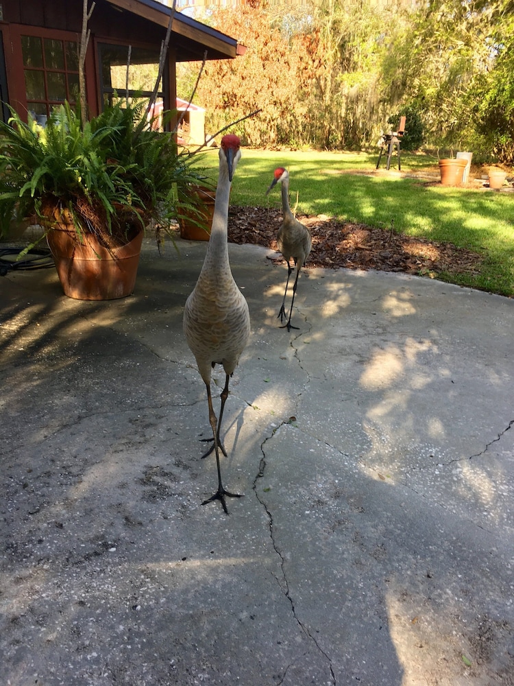 Cozy Lake House Suite at Little Cypress Guests Suites