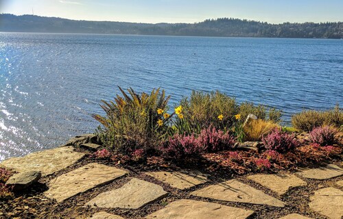 Best Cabins In Bainbridge Island 2020 Find Cheap Cabins Rentals