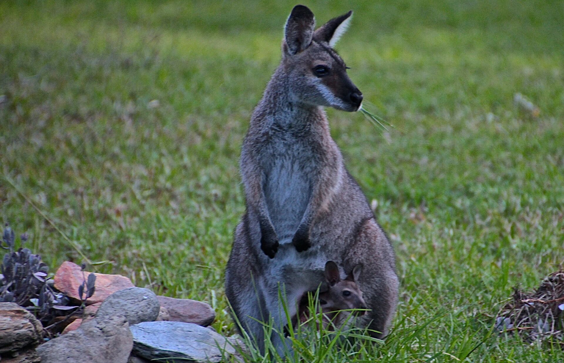 Enjoy the ultimate natural indulgence – a million-star spa…