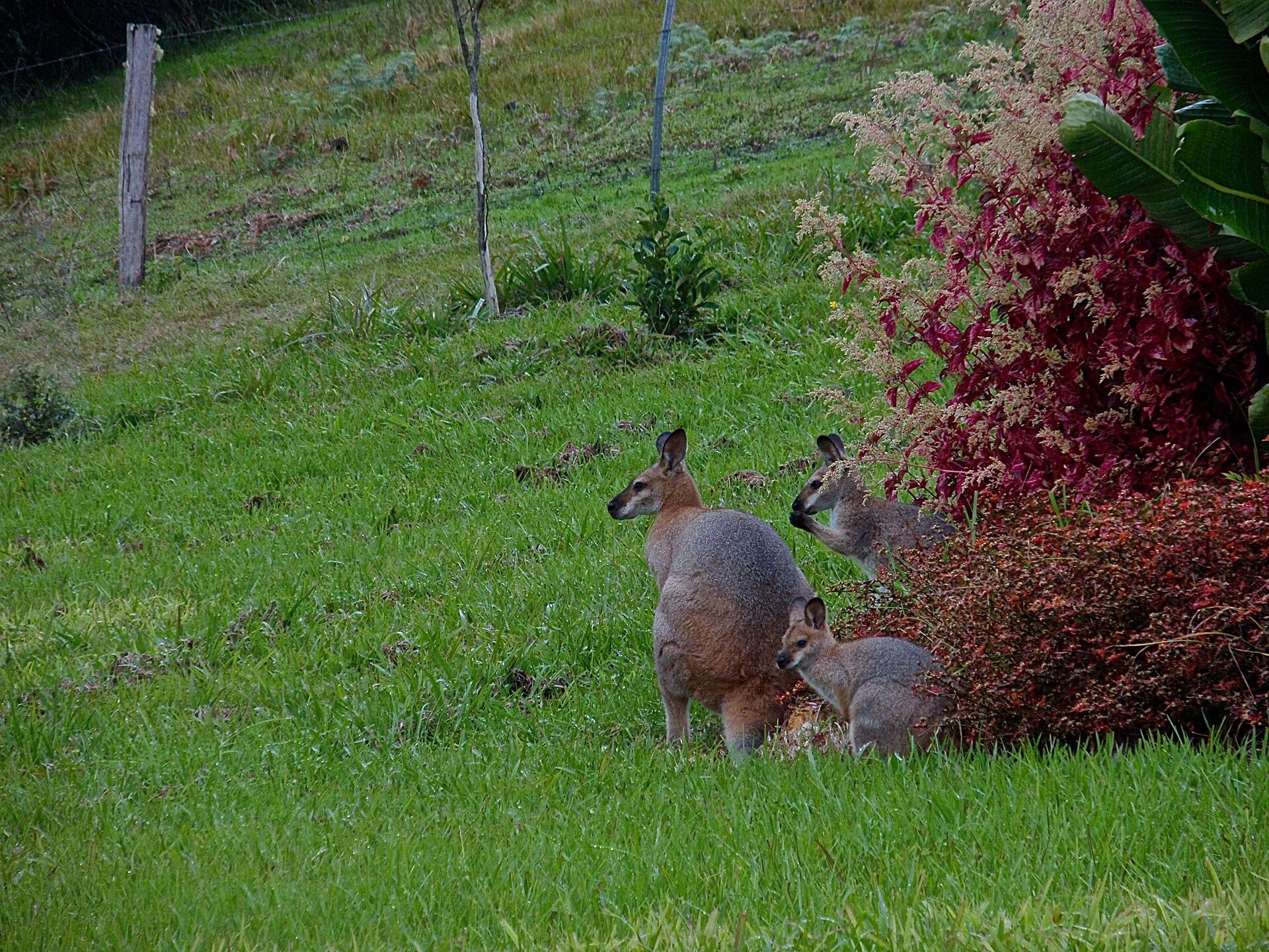 Enjoy the ultimate natural indulgence – a million-star spa…