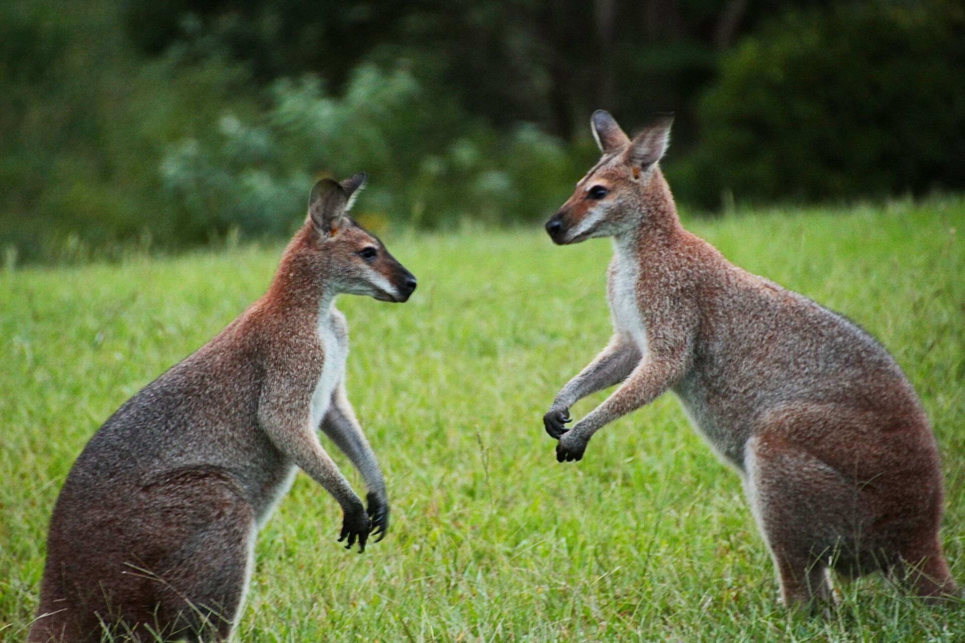 Enjoy the ultimate natural indulgence – a million-star spa…