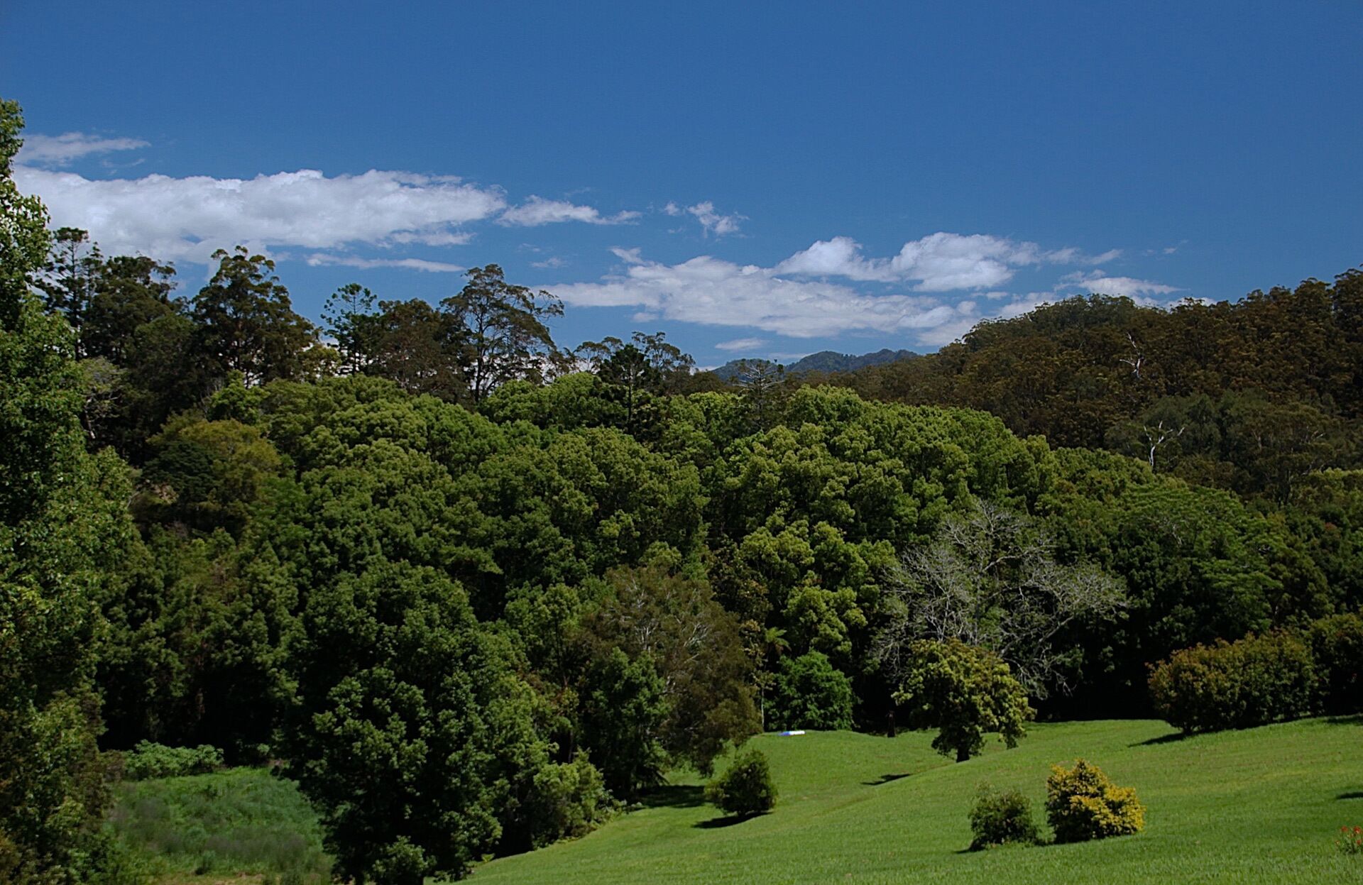 Enjoy the ultimate natural indulgence – a million-star spa…