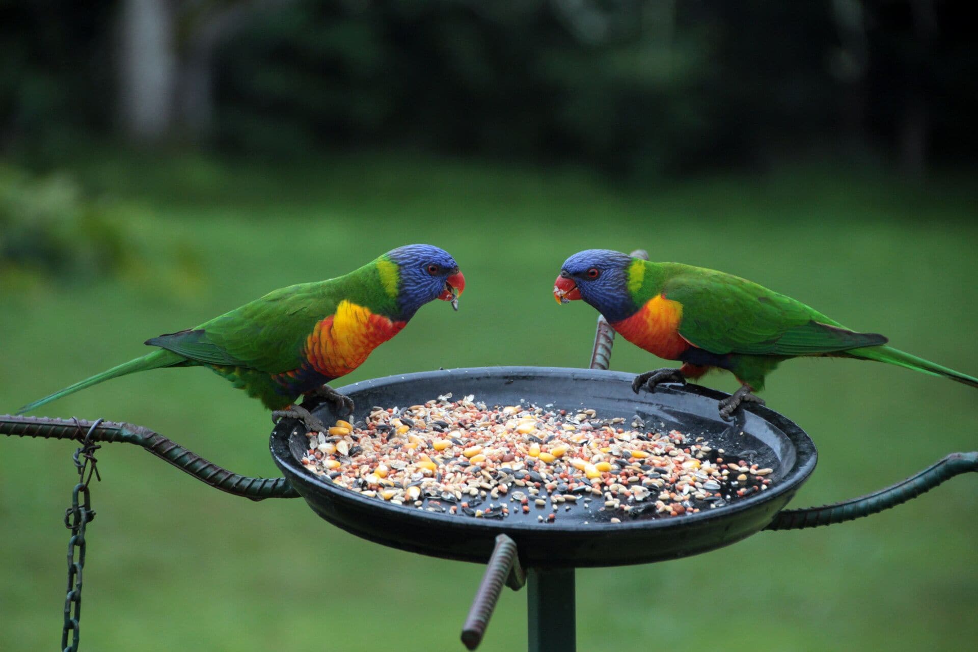 Enjoy the ultimate natural indulgence – a million-star spa…