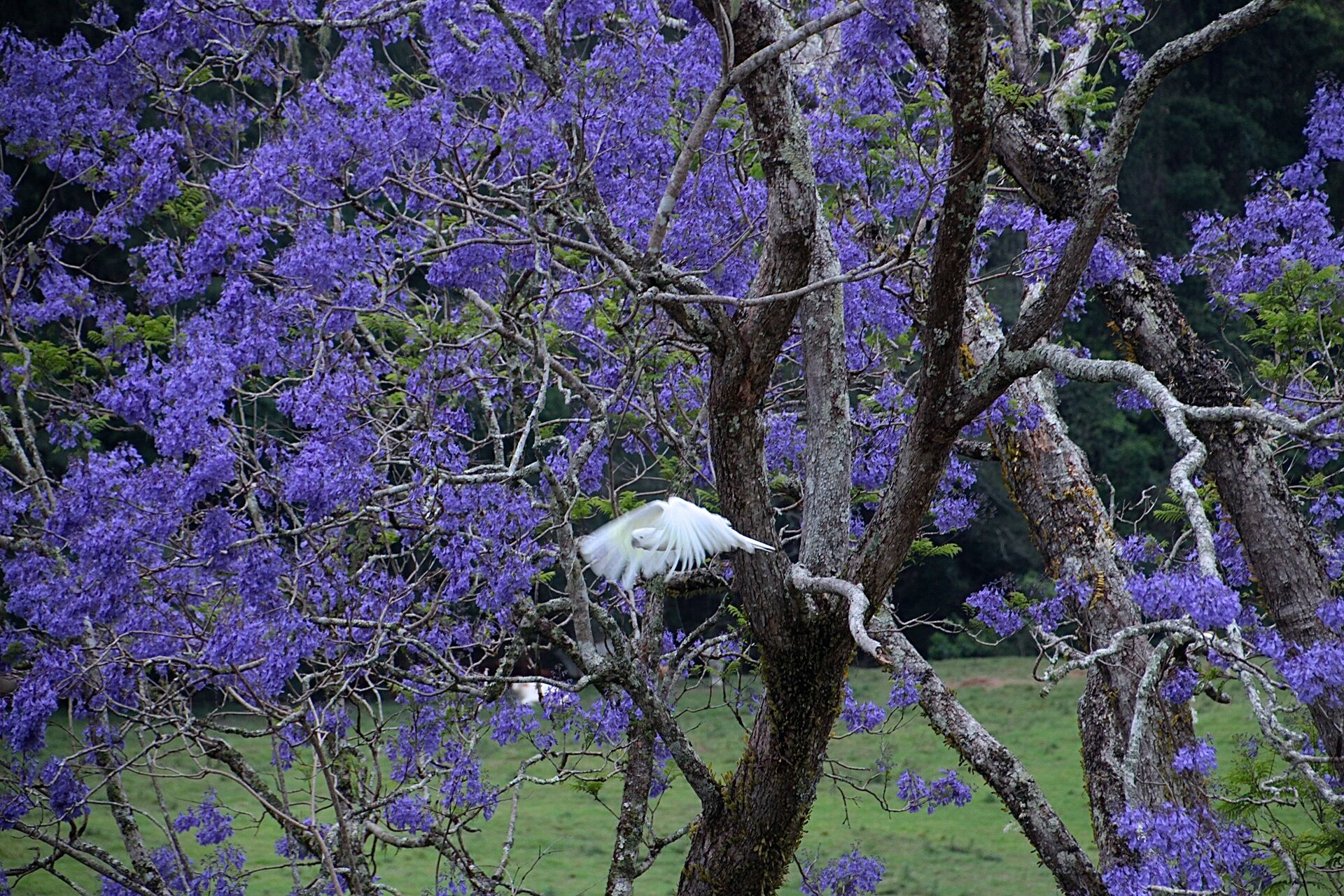 Enjoy the ultimate natural indulgence – a million-star spa…