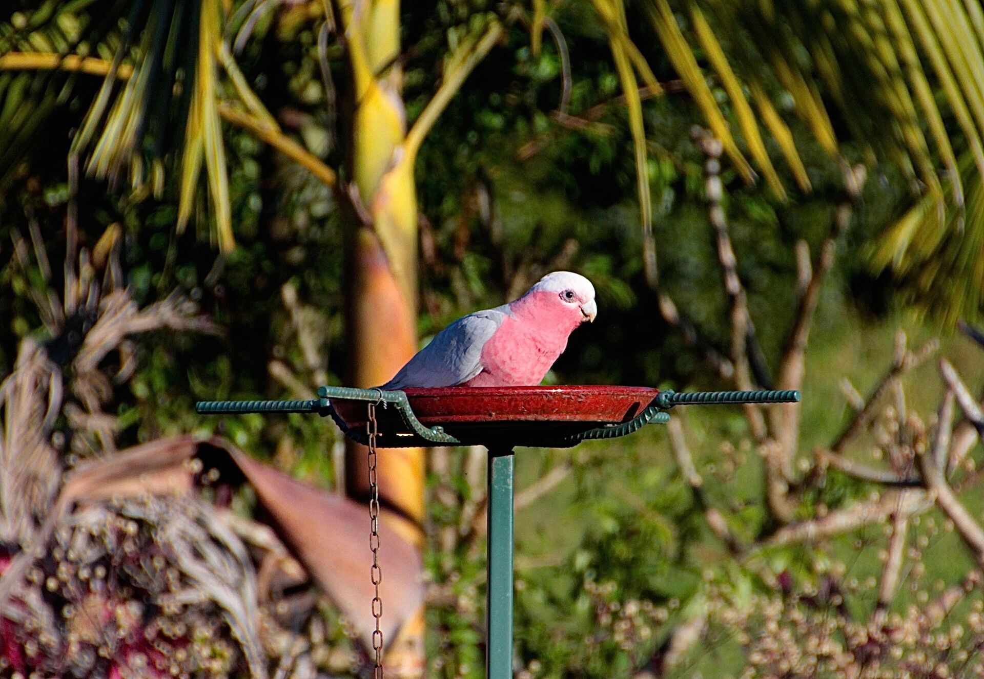 Enjoy the ultimate natural indulgence – a million-star spa…