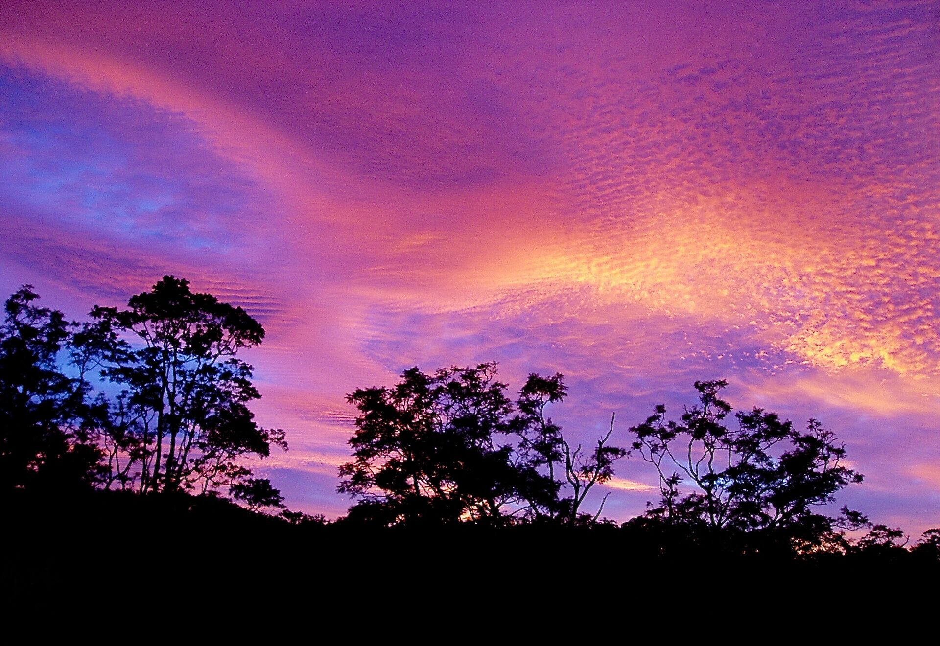 Enjoy the ultimate natural indulgence – a million-star spa…