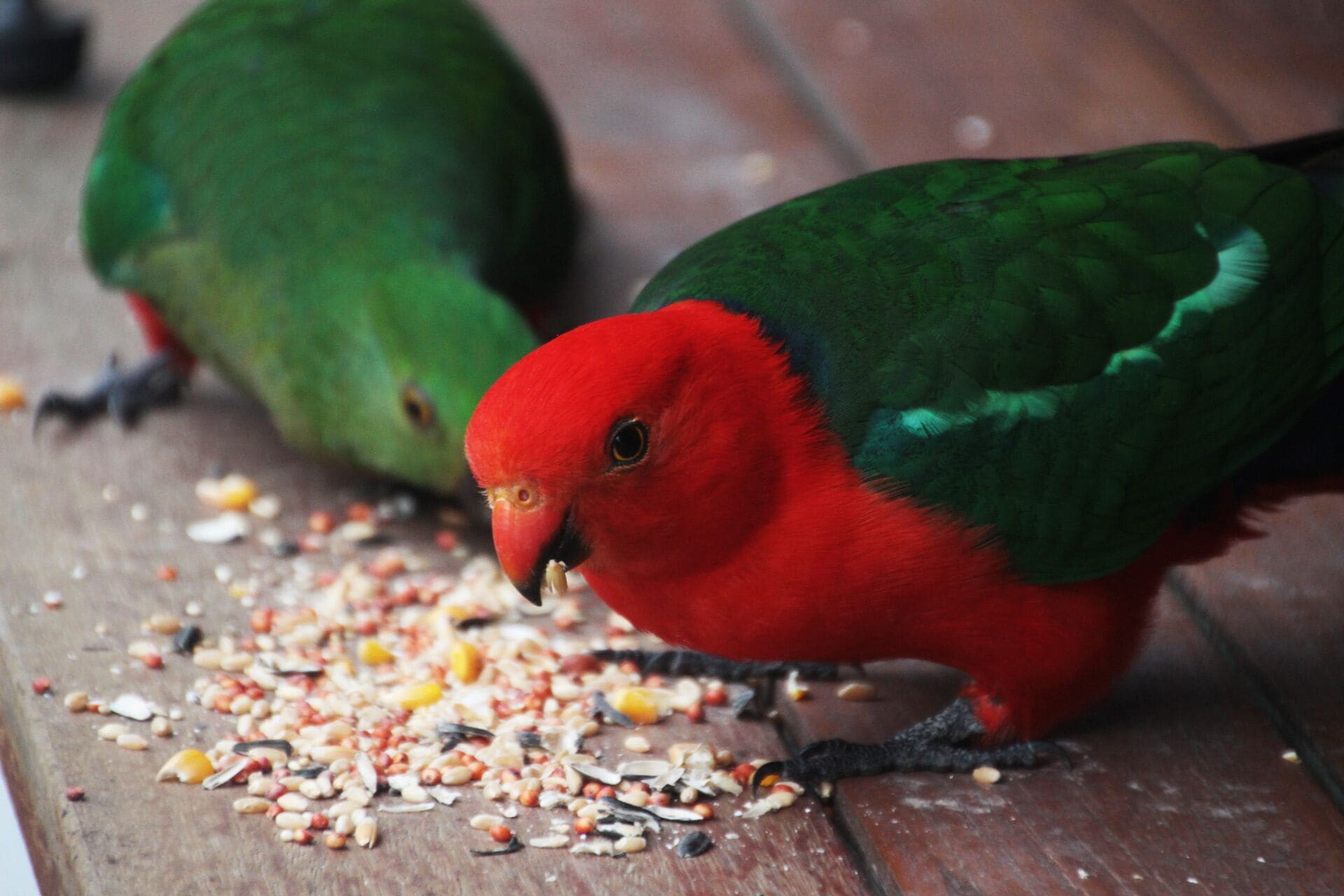 Enjoy the ultimate natural indulgence – a million-star spa…