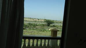 Vue de la chambre