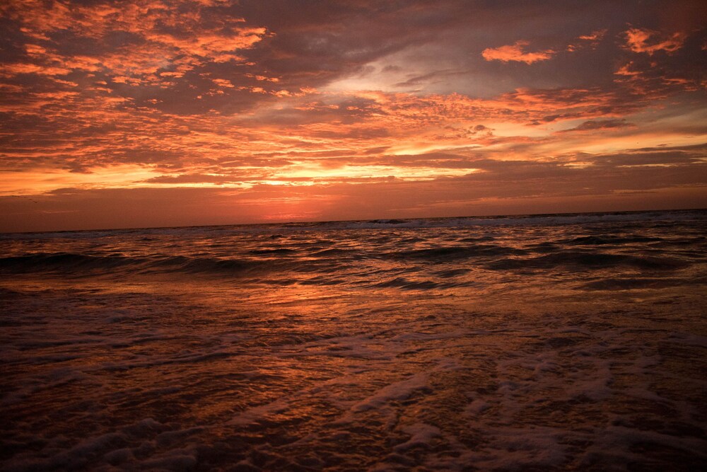 Best Beachfront Value on SGI! 4 BR/2 BA, Heated Pool, Spa and Awesome Reviews!