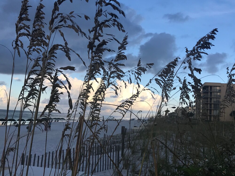 Luxury at it's finest! Penthouse unit overlooking the beautiful Gulf of Mexico!