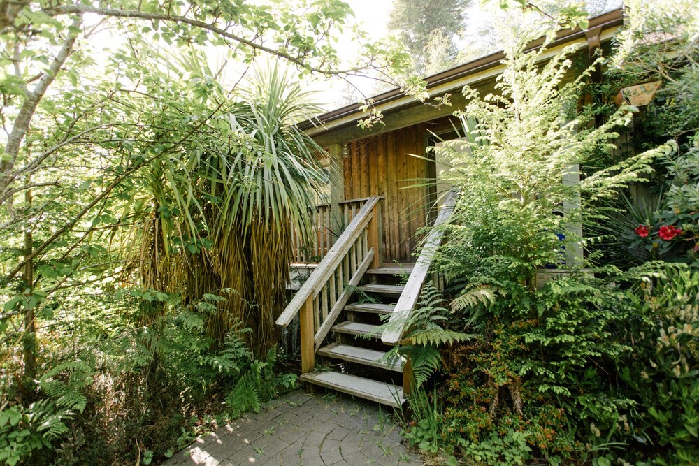 Dunes Cabin At Chesterman Beach Private 2br House Hot Tub In