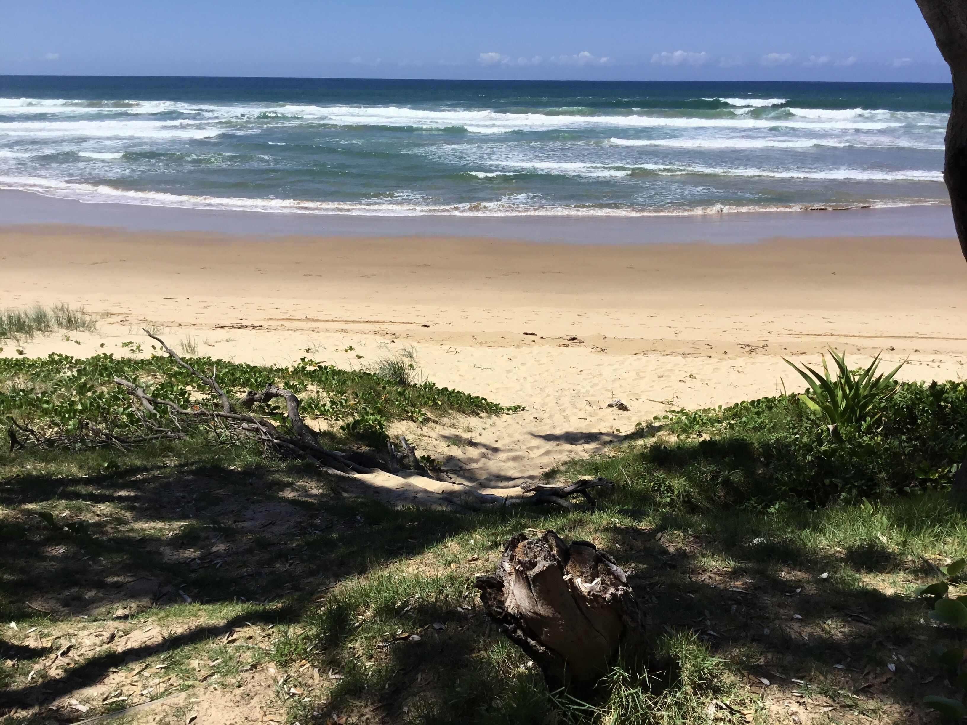 Shellies On The Beach LITTLE HOUSE