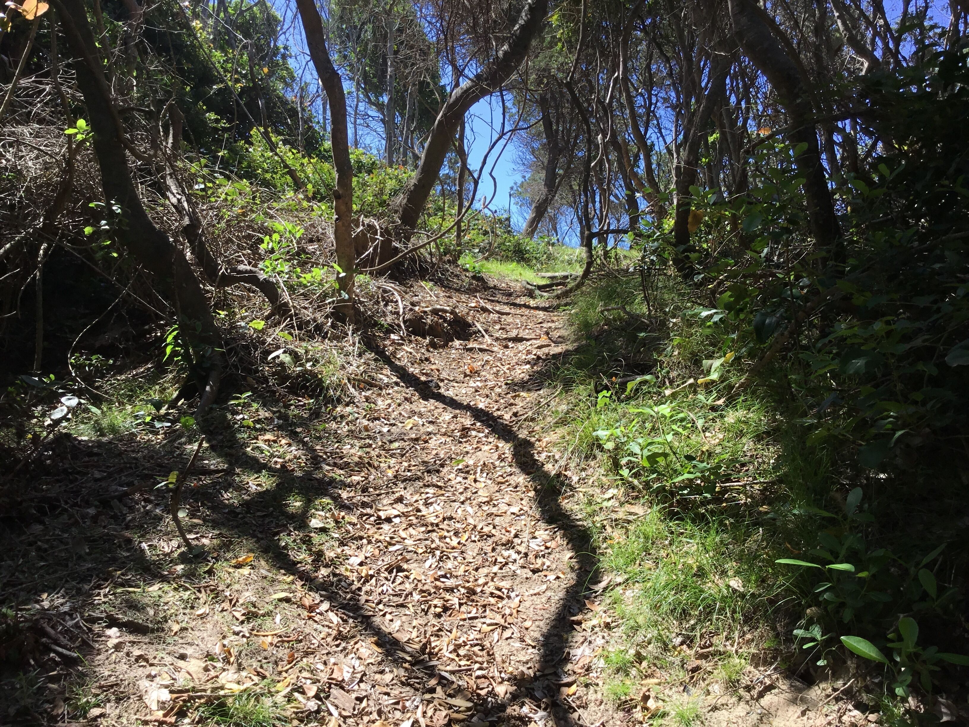 Shellies On The Beach LITTLE HOUSE