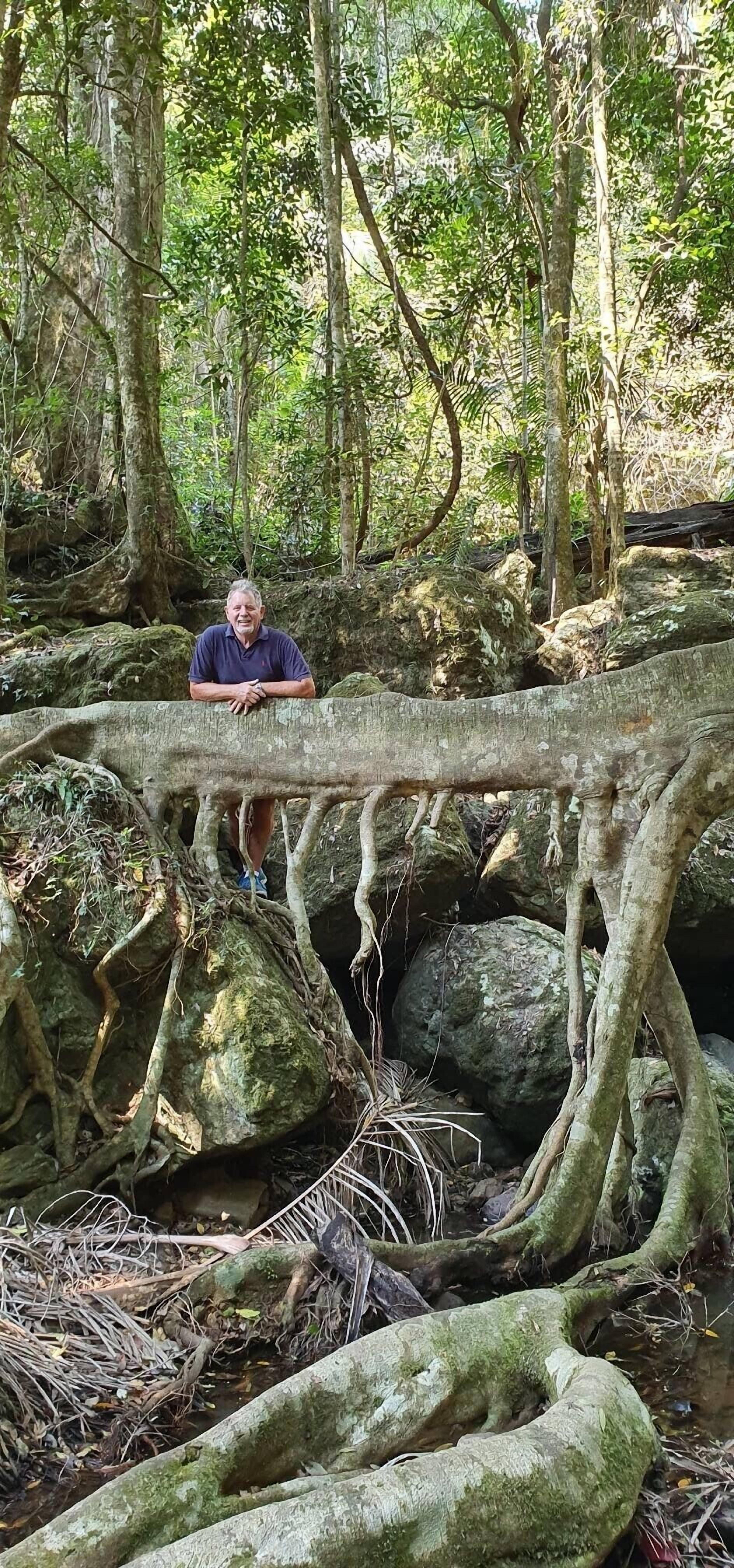 Luxury, Comfort and Convenience in the Rainforest