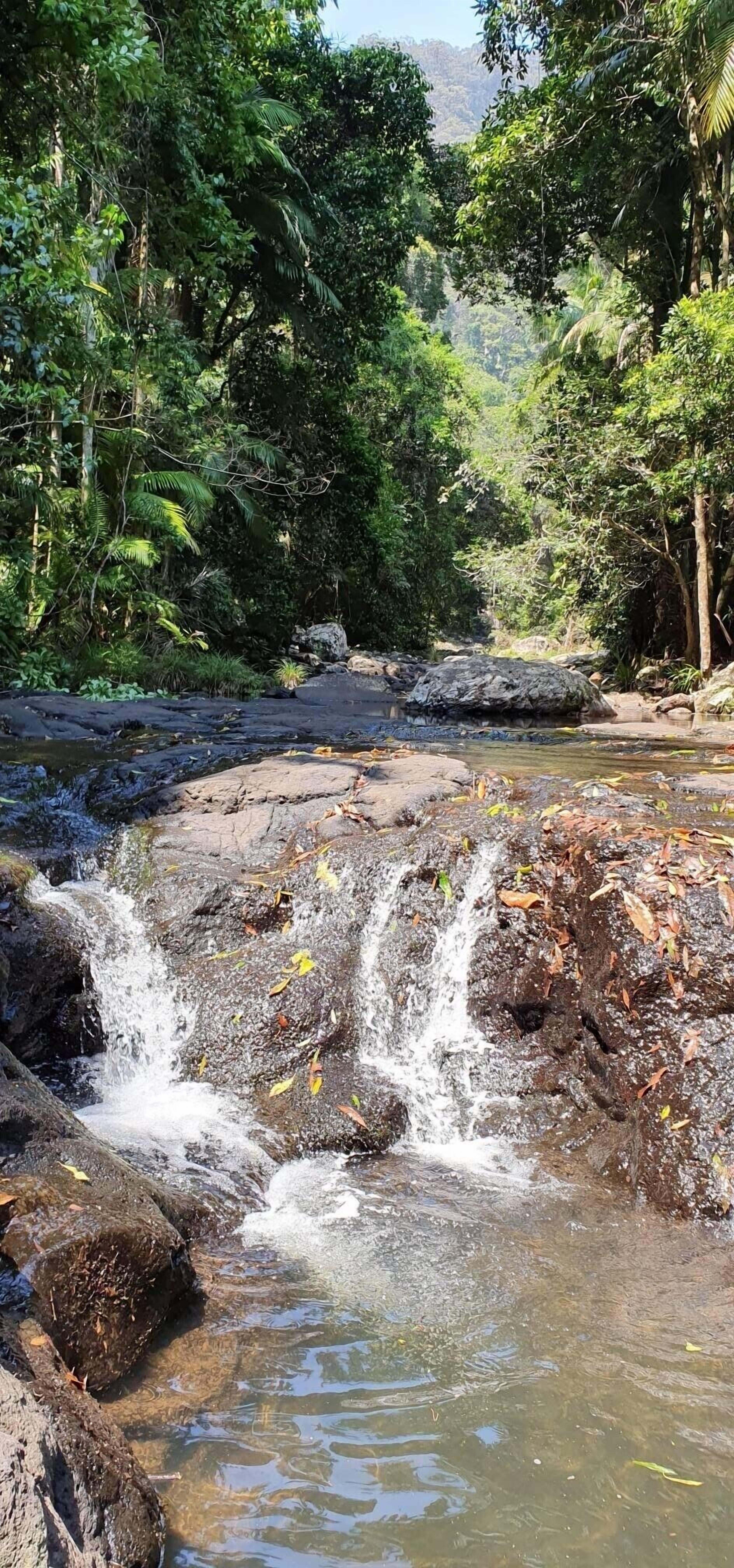 Luxury, Comfort and Convenience in the Rainforest