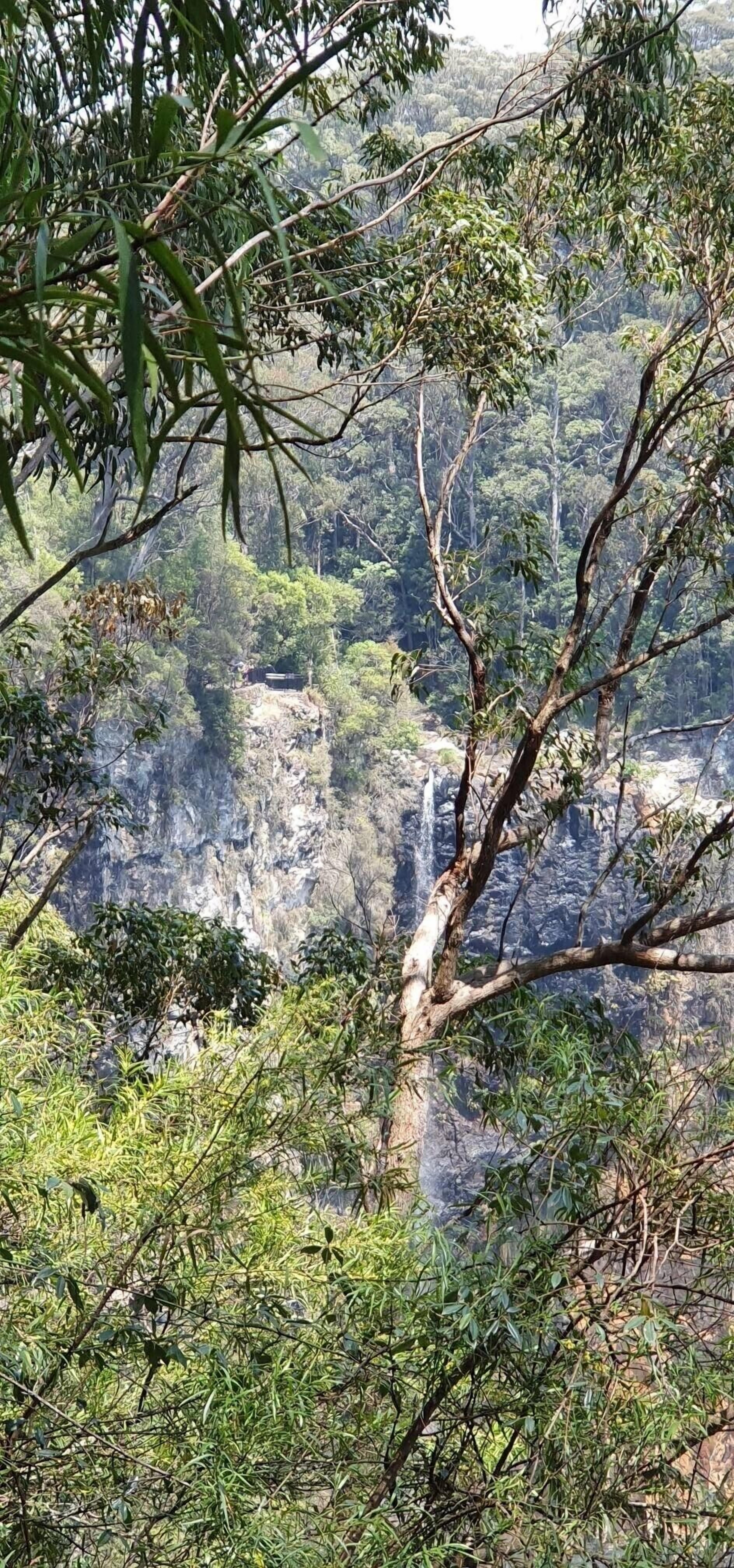 Luxury, Comfort and Convenience in the Rainforest