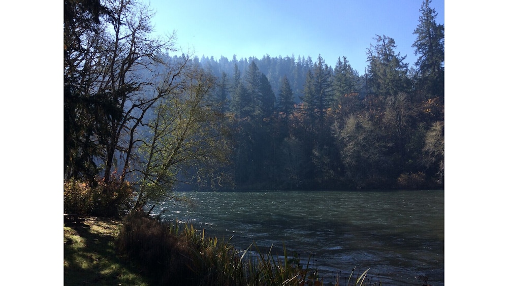 Kingfisher Cabin Right On The Mckenzie River In Vida Hotel Rates