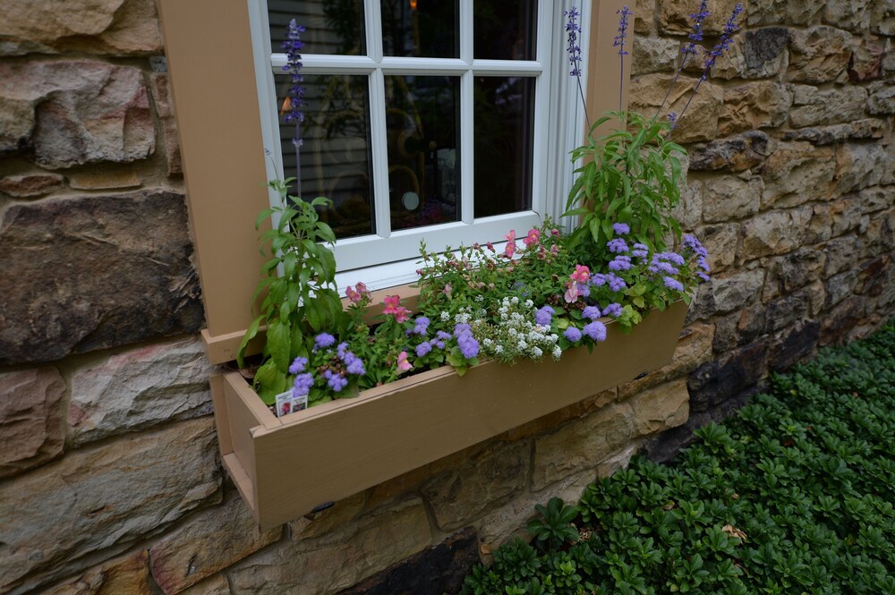 Peaceful, Spacious, Historic Stone Cottage Getaway