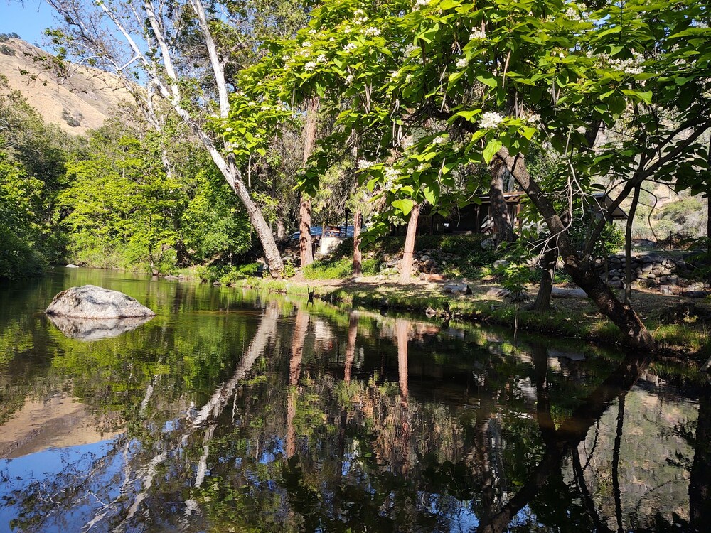 Property grounds, Riverfront North Fork Kaweah - 1500 Ft of your own river!