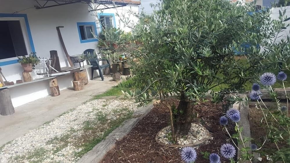 B&B in Traditional Portuguese House in Vagos, Portugal