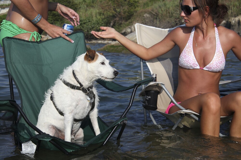 NEWPH'S LANDING OPENING  Summer FUN on the Lake