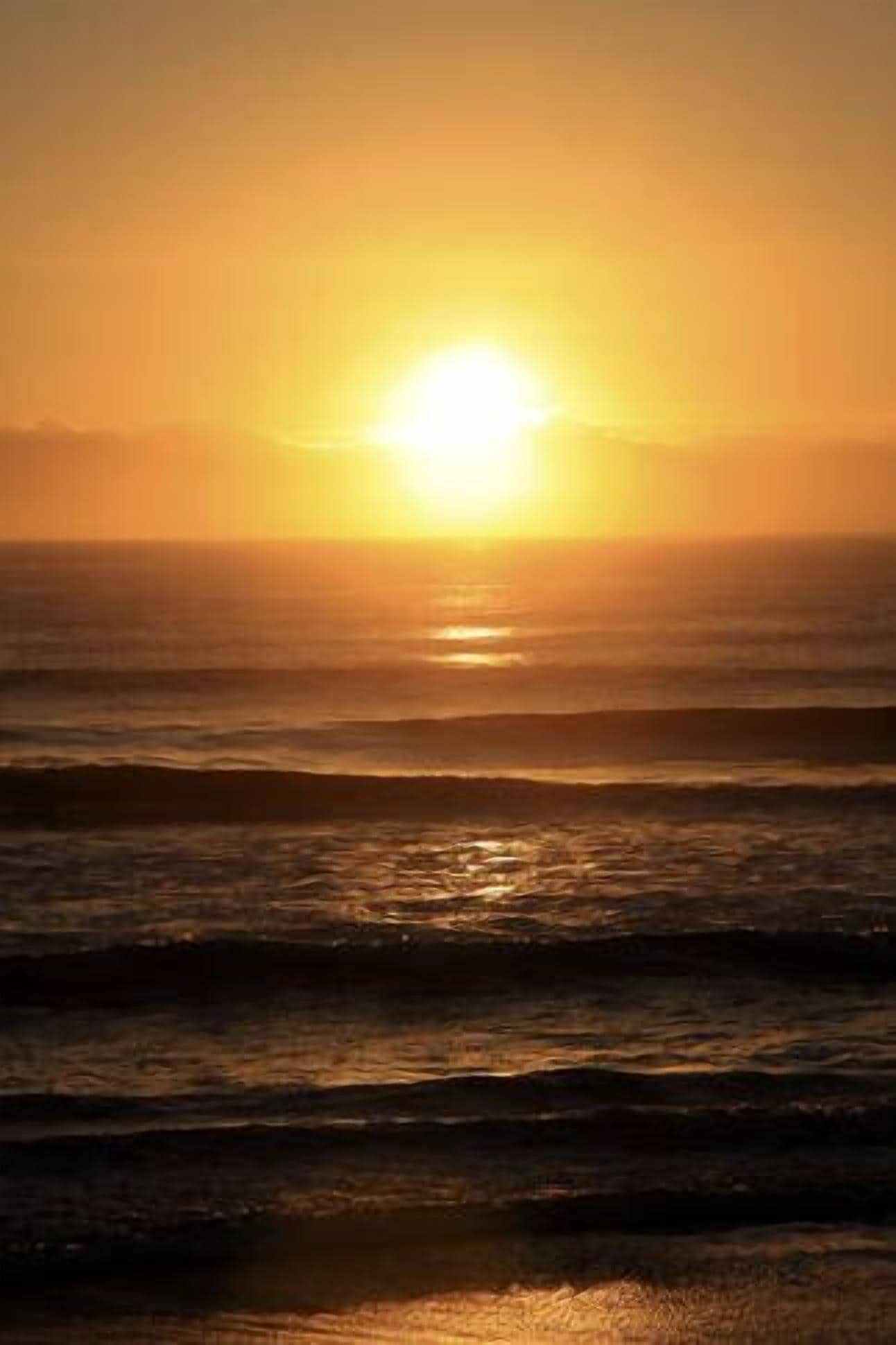 Sawtell Seaside Villas A