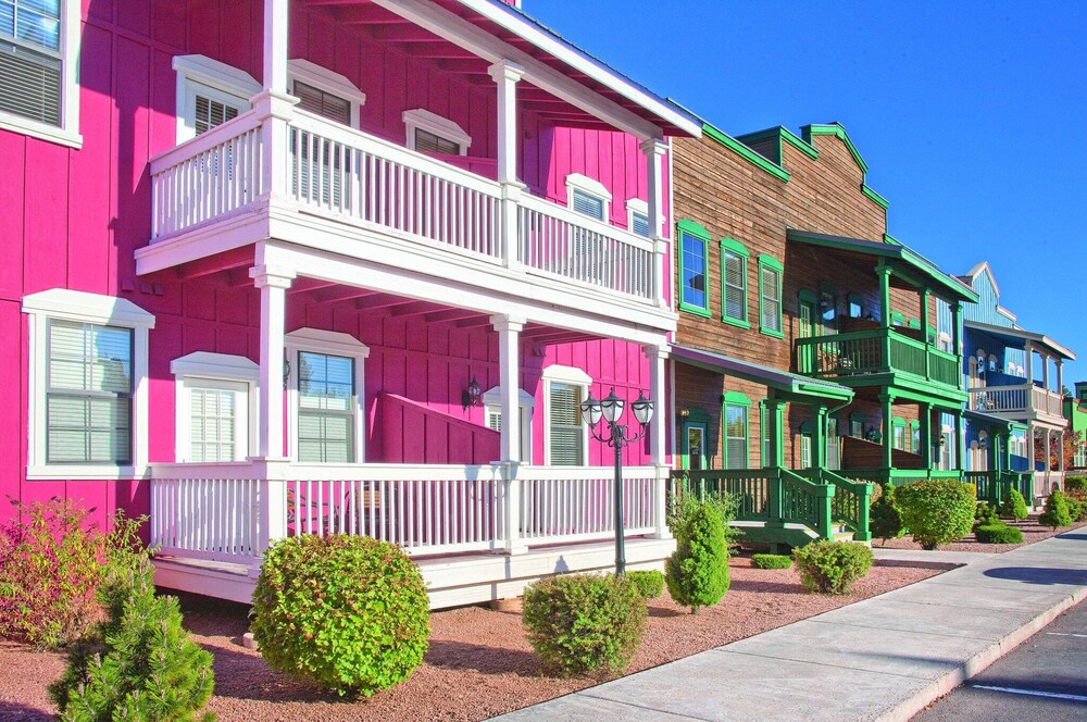 Stunning canyons and lush forest!