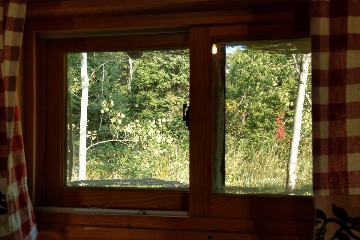 Dating company ely mn real estate Dating company ely mn real estate