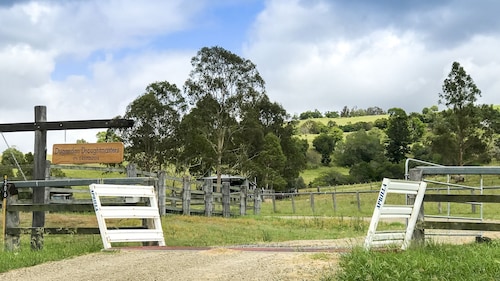 Visit Kooroomba Vineyards And Lavender Farm In Brisbane Expedia