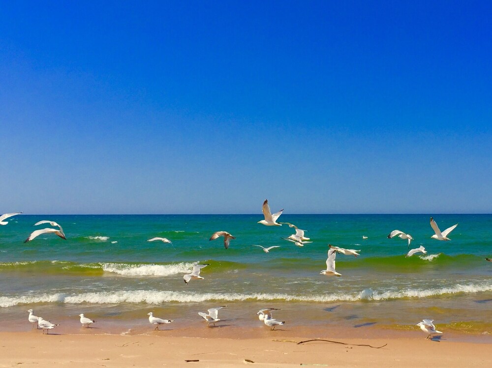 Pentwater/Lake Michigan/Silver lake rental Mears Vrbo