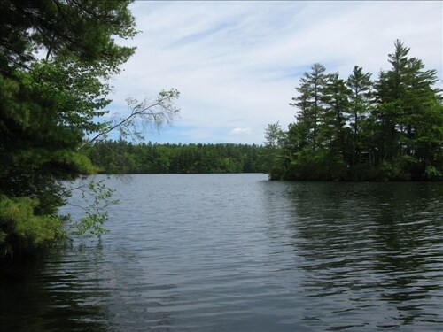 Best Rumney Cottages For 2020 Find Cheap 50 Cottage Rentals