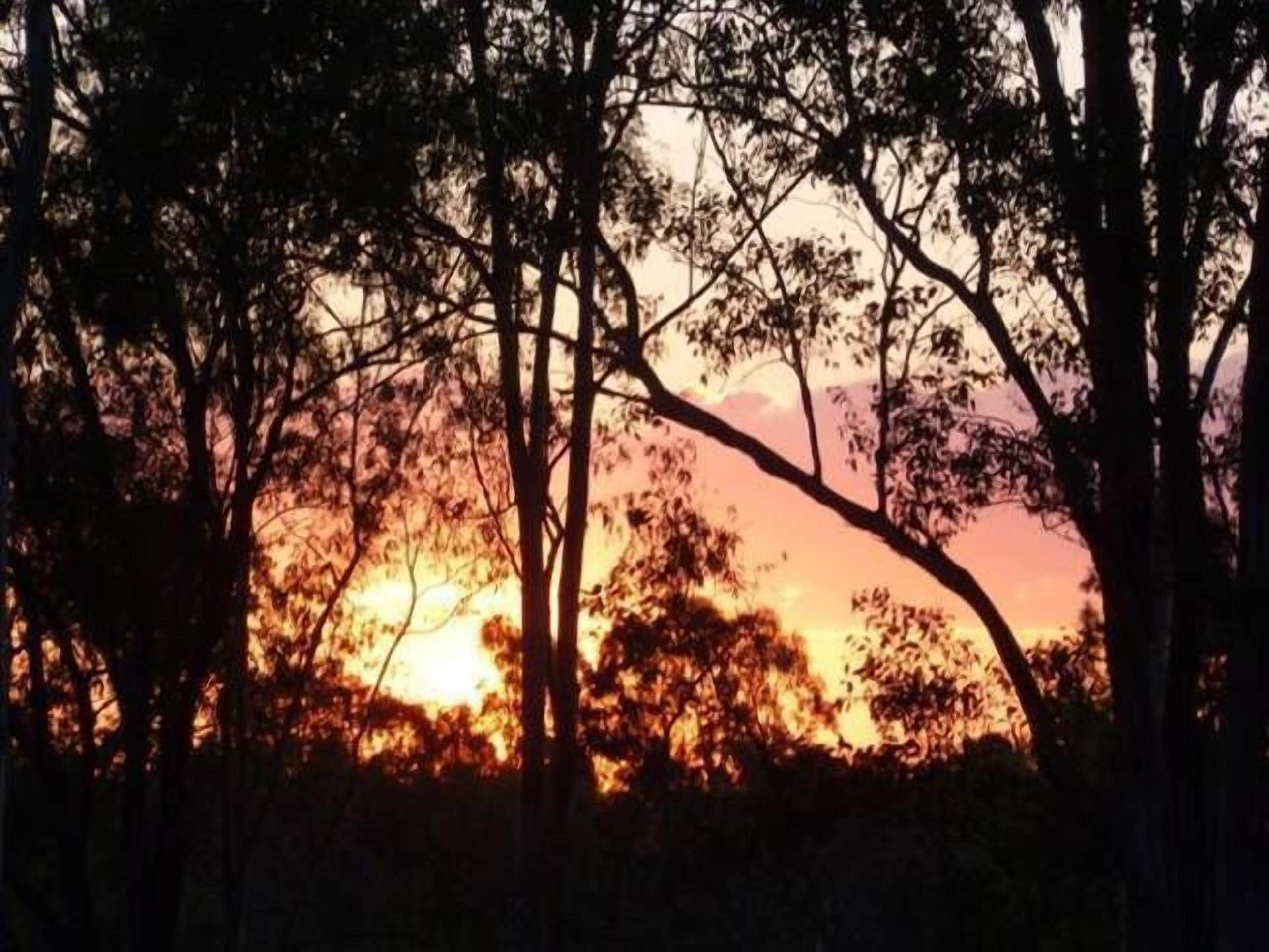 Magpie Creek Thoroughbred Farmstay Family Unit