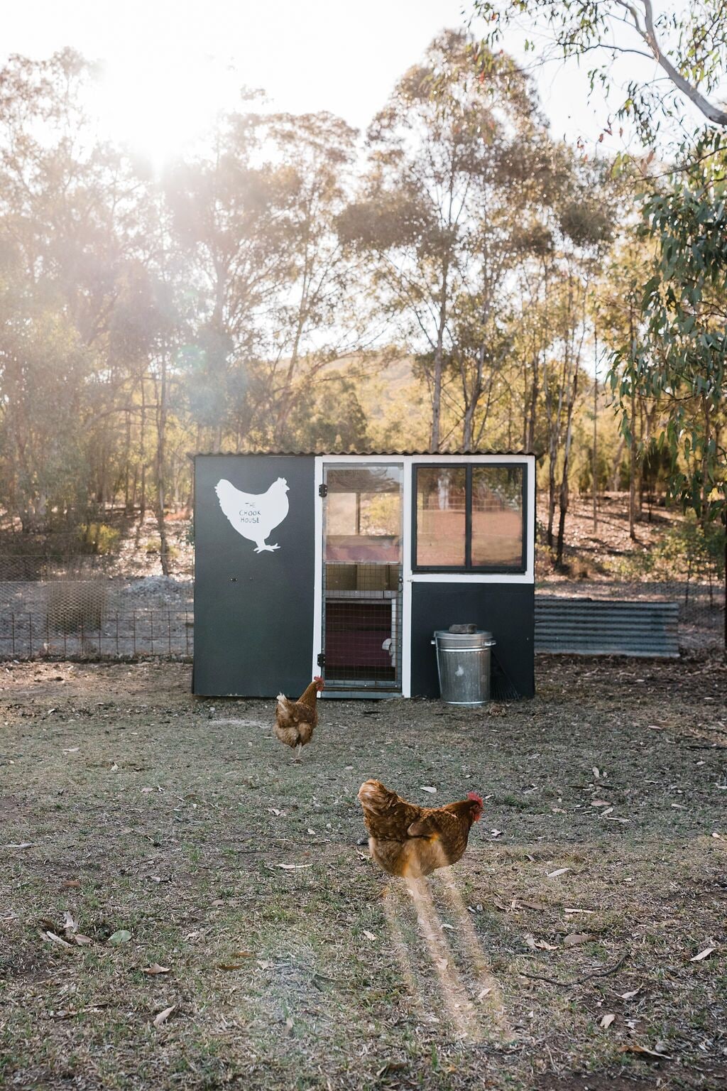 Wilpine Homestead and Cottage