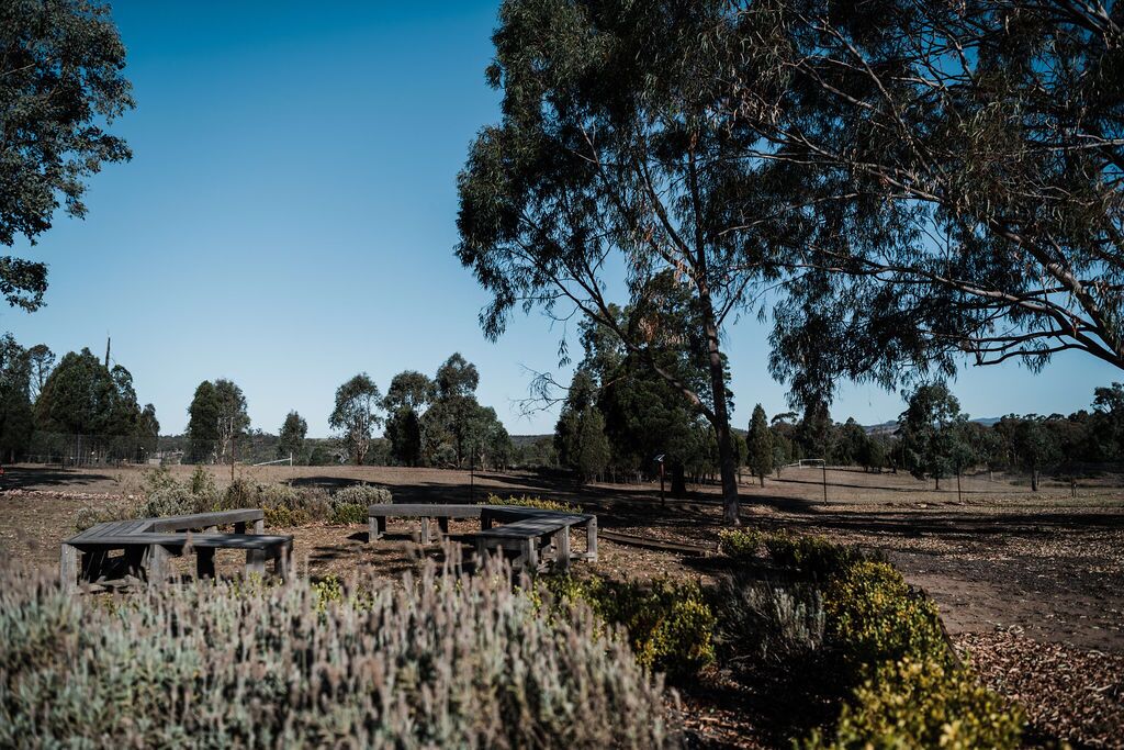 Wilpine Homestead and Cottage