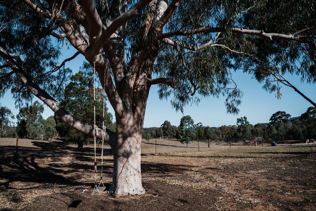 Wilpine Homestead and Cottage