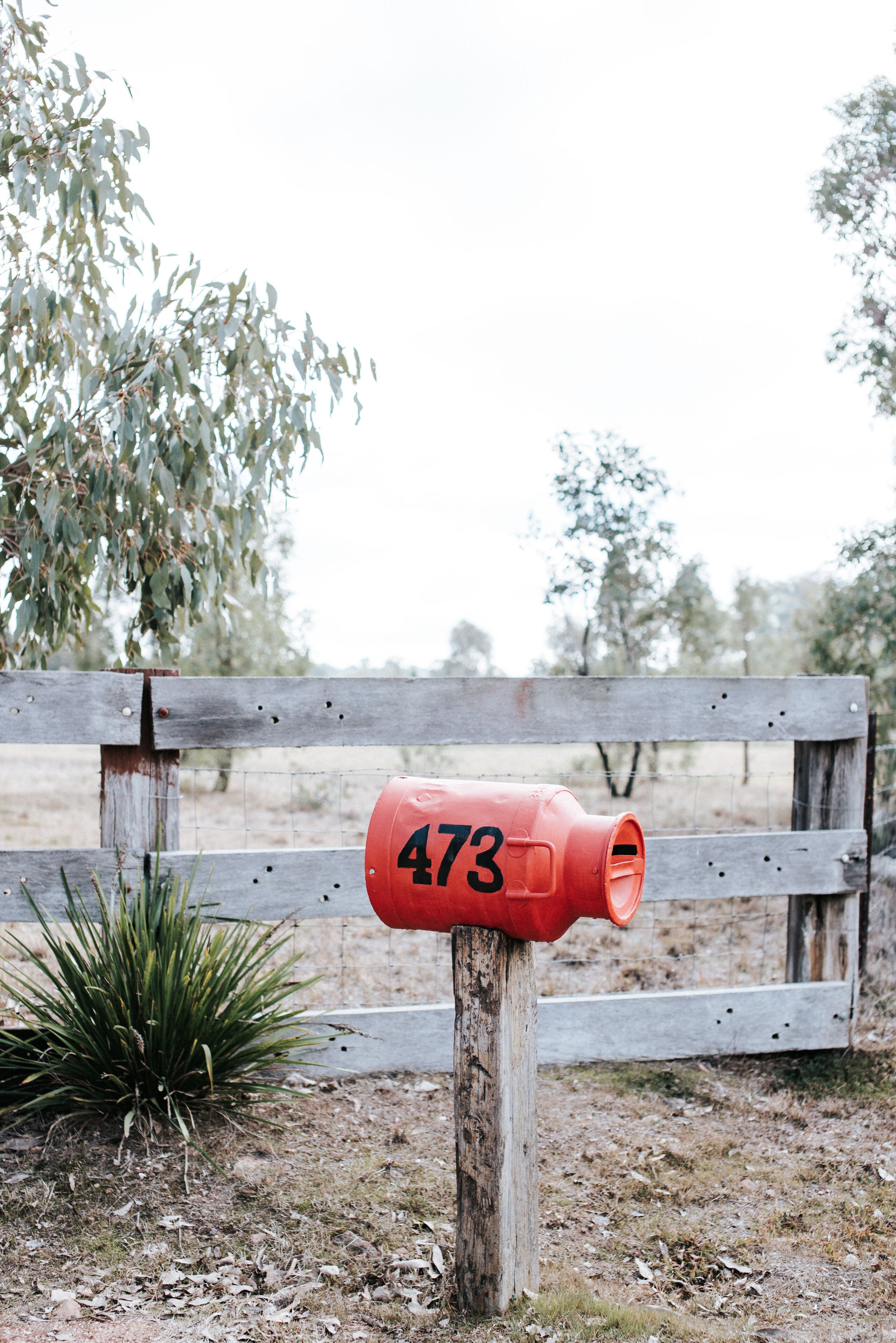 Wilpine Homestead and Cottage
